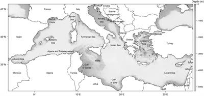 An End-to-End Model Reveals Losers and Winners in a Warming Mediterranean Sea